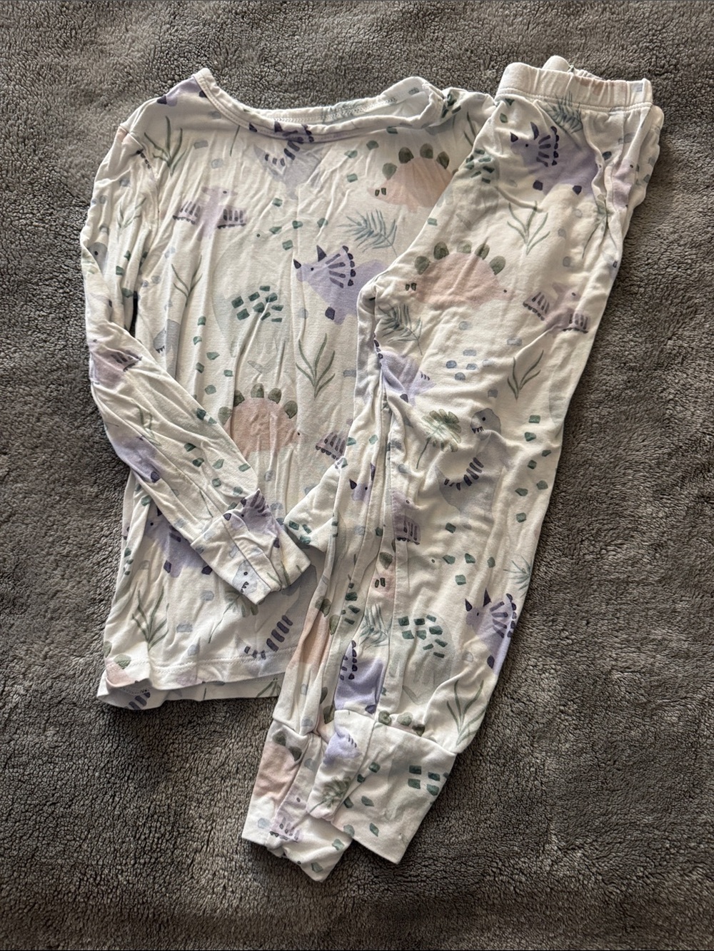 Posh Peanut 2 piece pajamas